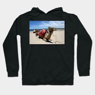 Camel train Hoodie